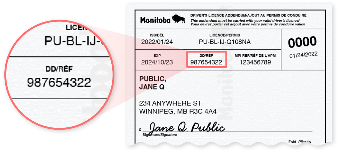 Manitoba Driver's Licence