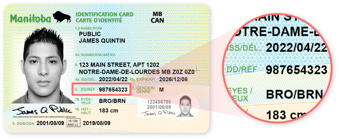 Manitoba Driver's Licence
