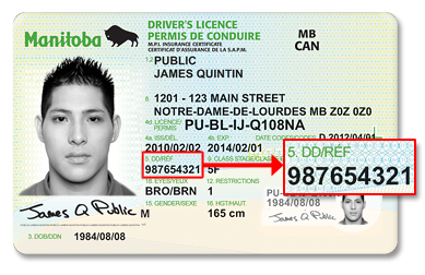where to find my drivers license number